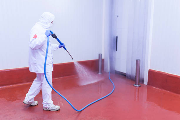 Best Building Exterior Washing  in Durham, NC